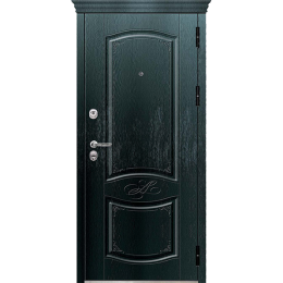 Входная металлическая дверь Аргус Париж